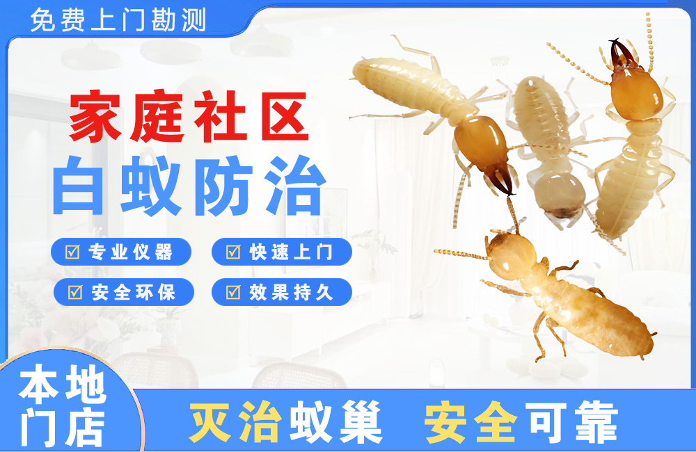 湘西家庭社区白蚁防治