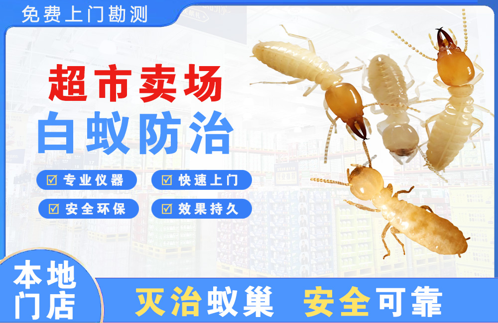 湘西超市卖场白蚁防治