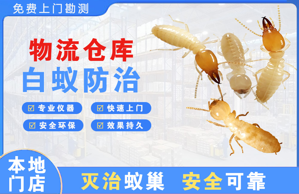 湘西物流仓库白蚁防治