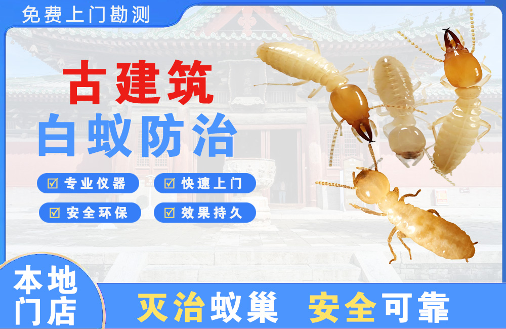 湘西古建筑白蚁防治