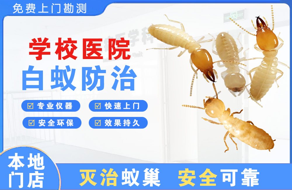 湘西学校医院白蚁防治