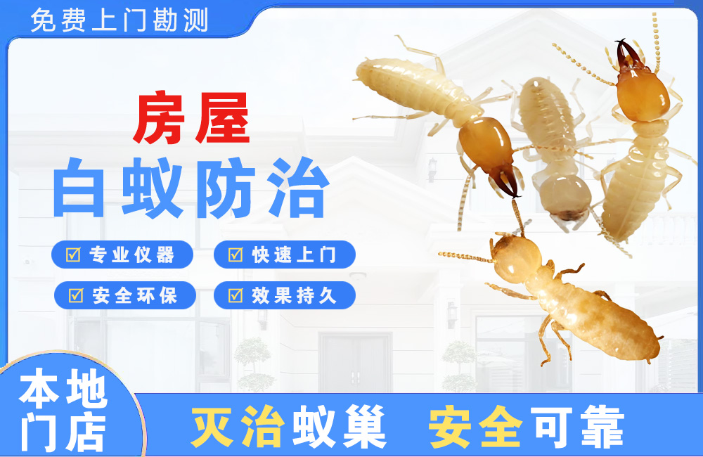 湘西房屋白蚁防治